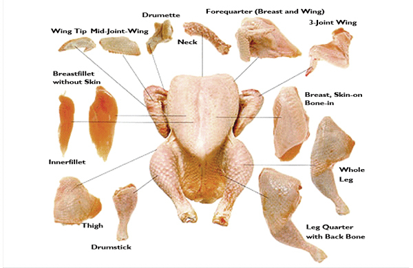 WHOLE-FROZEN-CHICKEN-AND-CHICKEN-PARTS-FROM